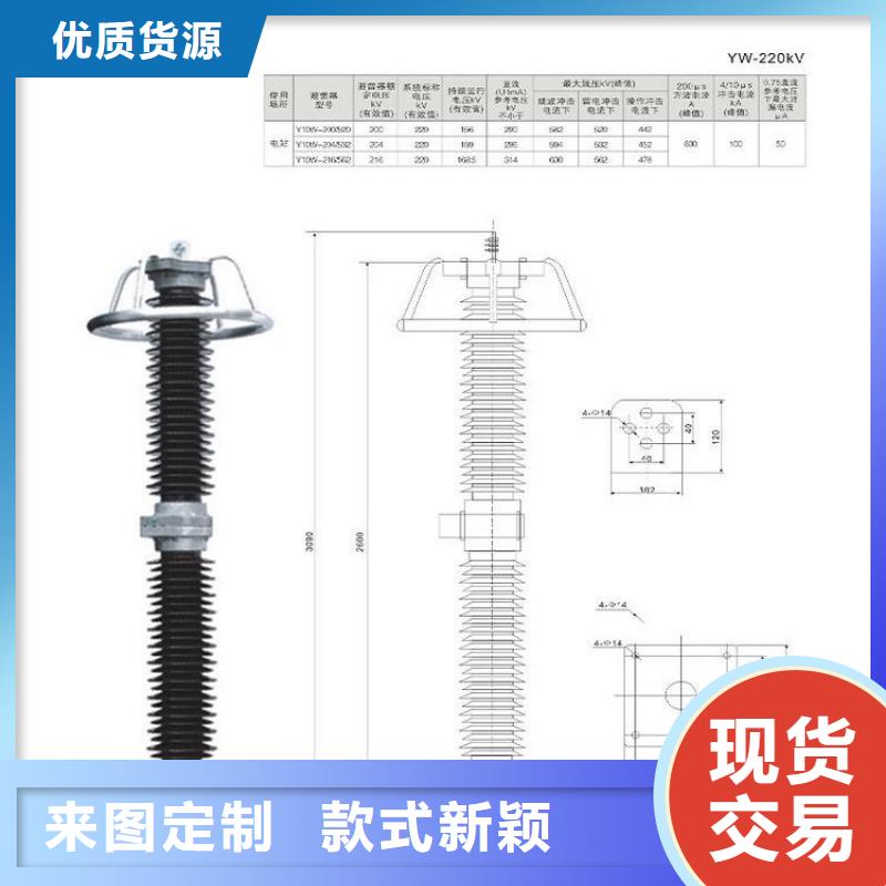 避雷器YH10W5-116/302【羿振电气】