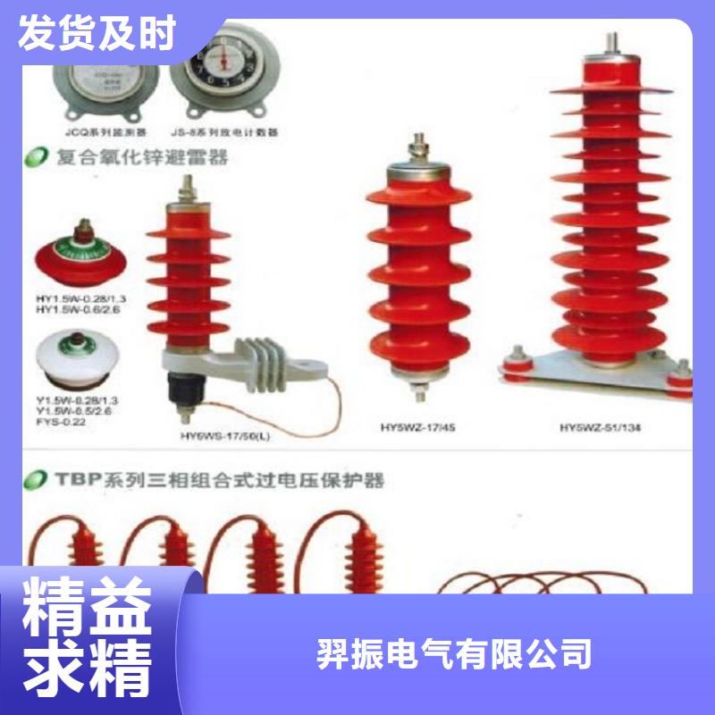 【避雷器】HY10WZ-96/232-浙江羿振电气有限公司