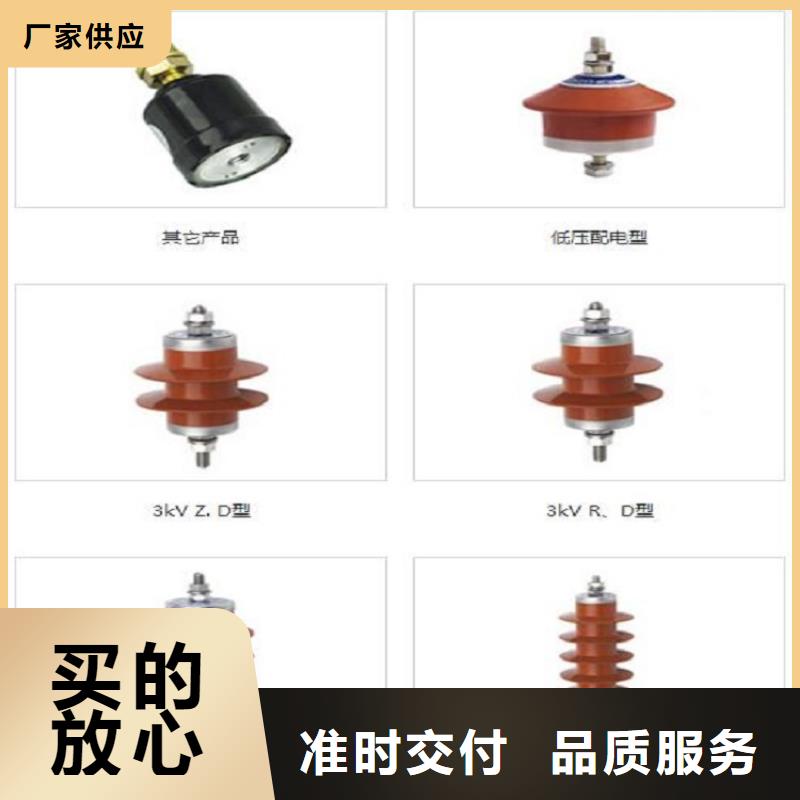可卸式避雷器HY5WS-17/50DL-TB上海羿振电力设备有限公司