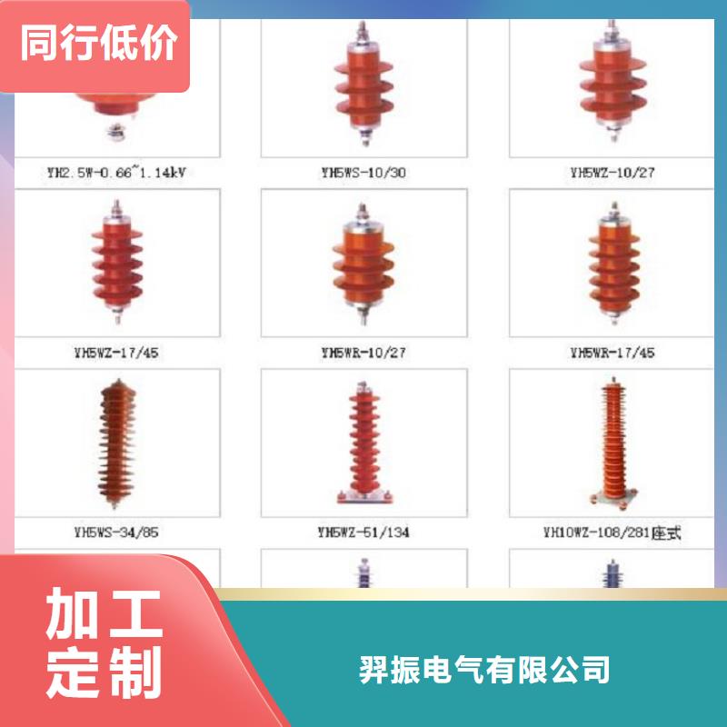 可卸式避雷器HY5WS-17/50DL-TB上海羿振电力设备有限公司