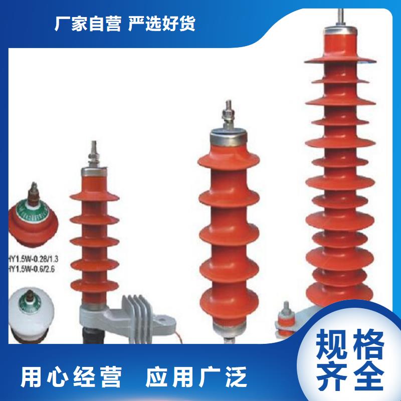 避雷器Y10W-108/281浙江羿振电气有限公司