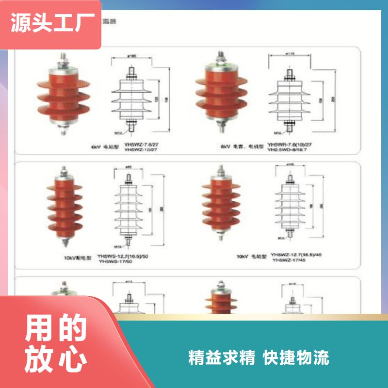 避雷器YH10W5-116/302【羿振电气】