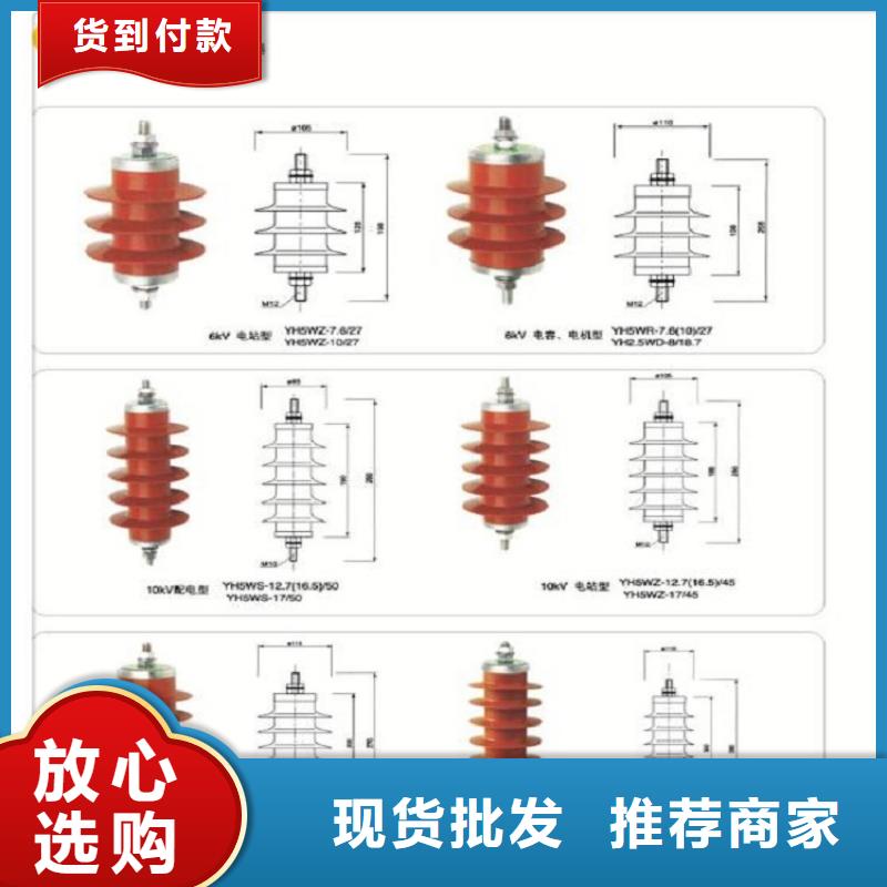 避雷器Y10W-108/266浙江羿振电气有限公司