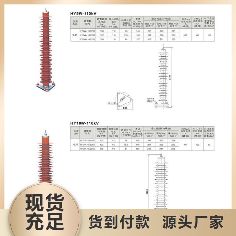 金属氧化物避雷器Y10W-100/248