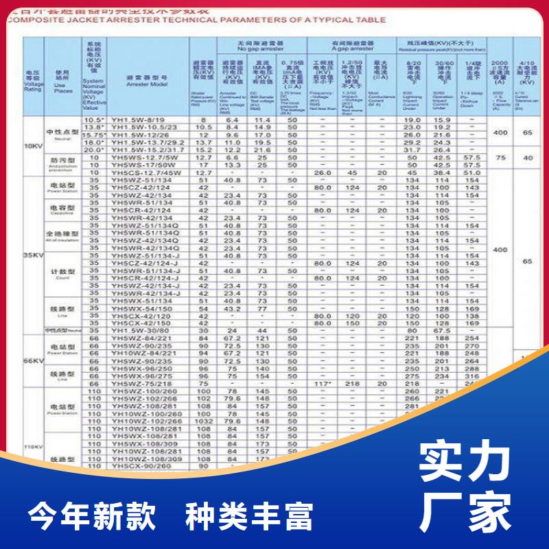 避雷器YH10CX-192/560K