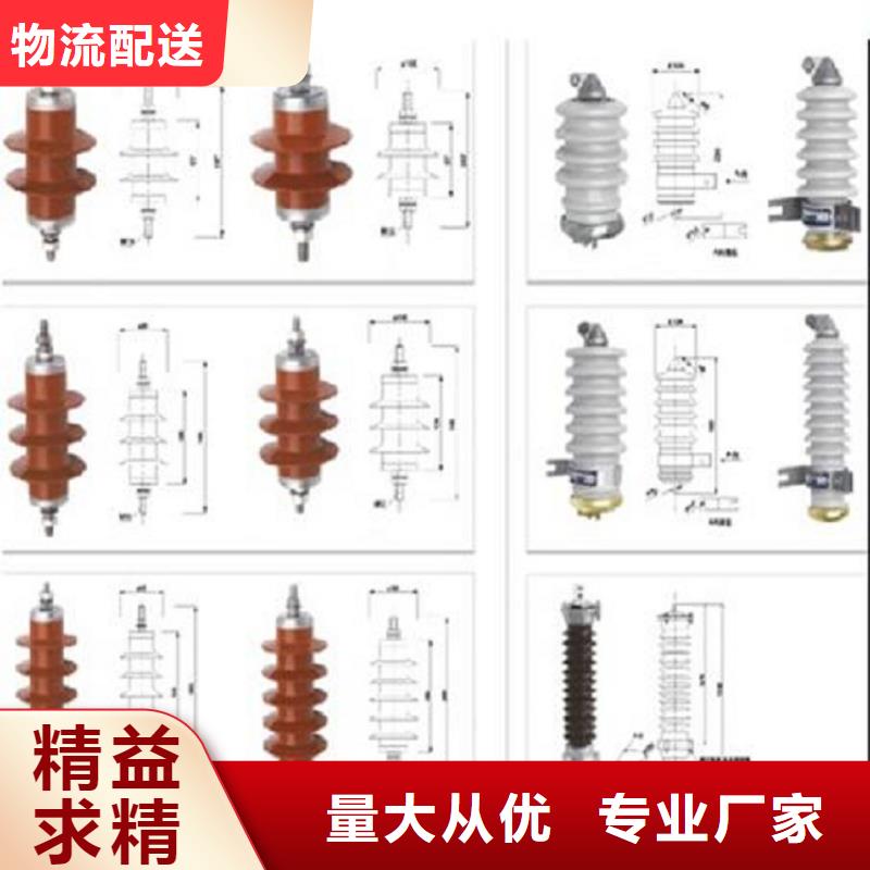 【氧化锌避雷器】避雷器HY3WZ-0.8/2.3-R