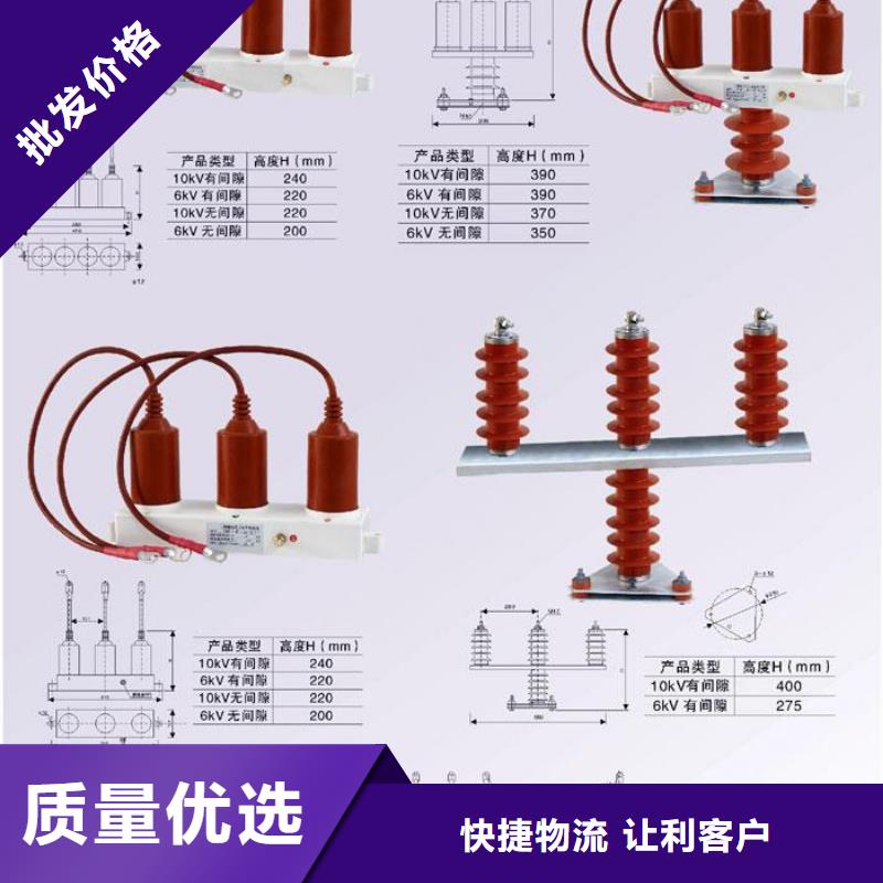 过电压保护器(组合式避雷器)TBP-B-42F/630W2