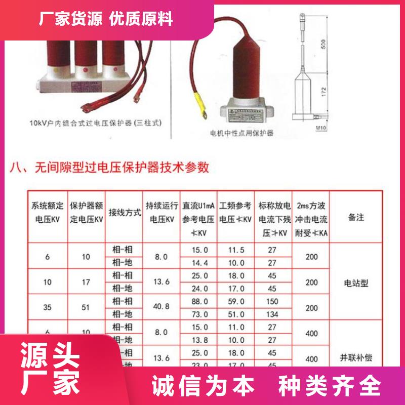 保护器(组合式避雷器)RTB-R-12.7KV/85-N