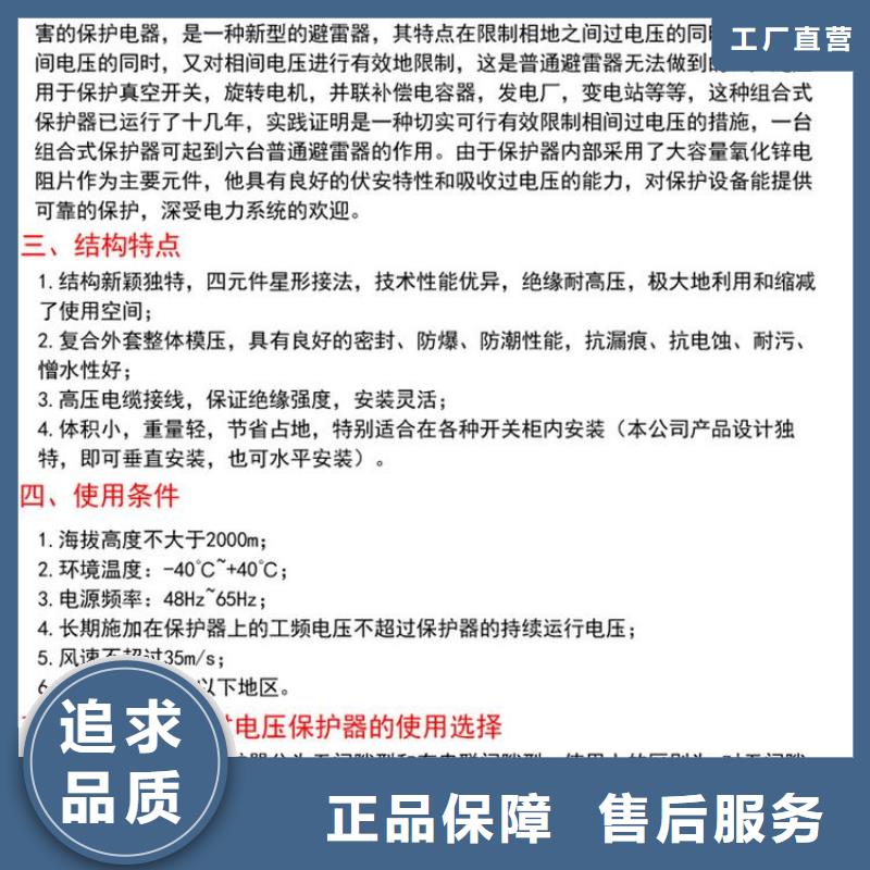 保护器(组合式避雷器)RSB-C/F-6.3
