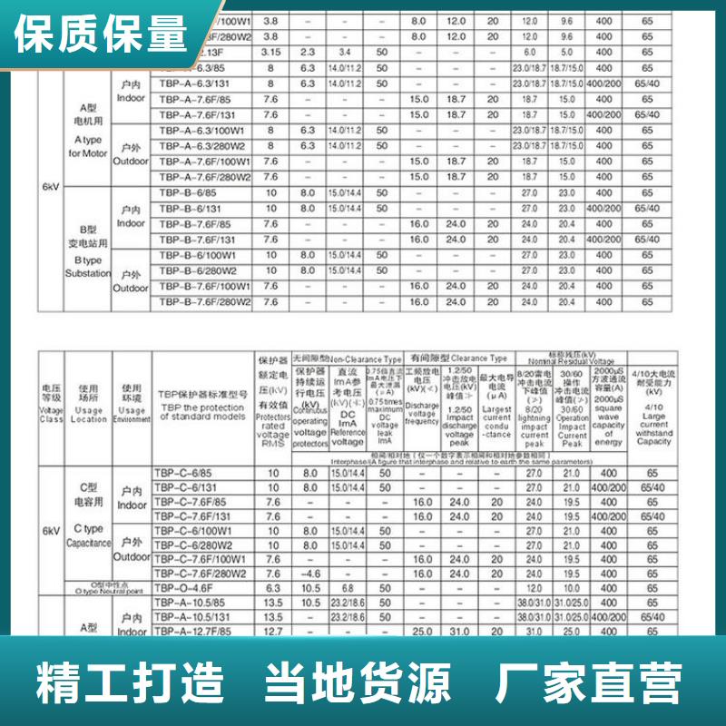 过电压保护器TBP-A-6.3/85-J