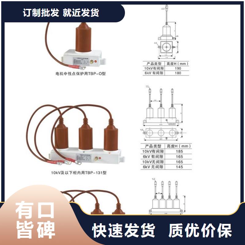 过电压保护器(组合式避雷器)TBP-A/F-6.3