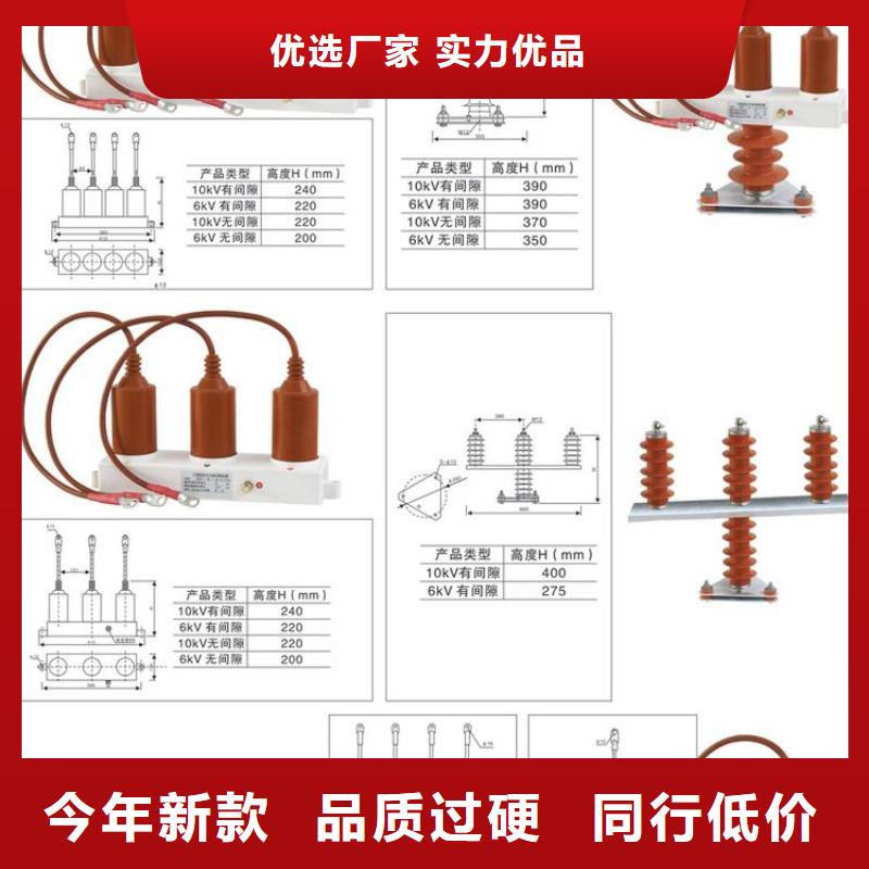 保护器(组合式避雷器)TBP-C-7.6F/85-J