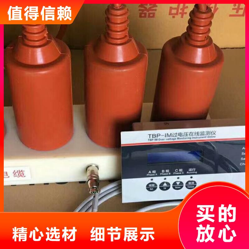 【组合式过电压保护器】TBP-B-6.3/F