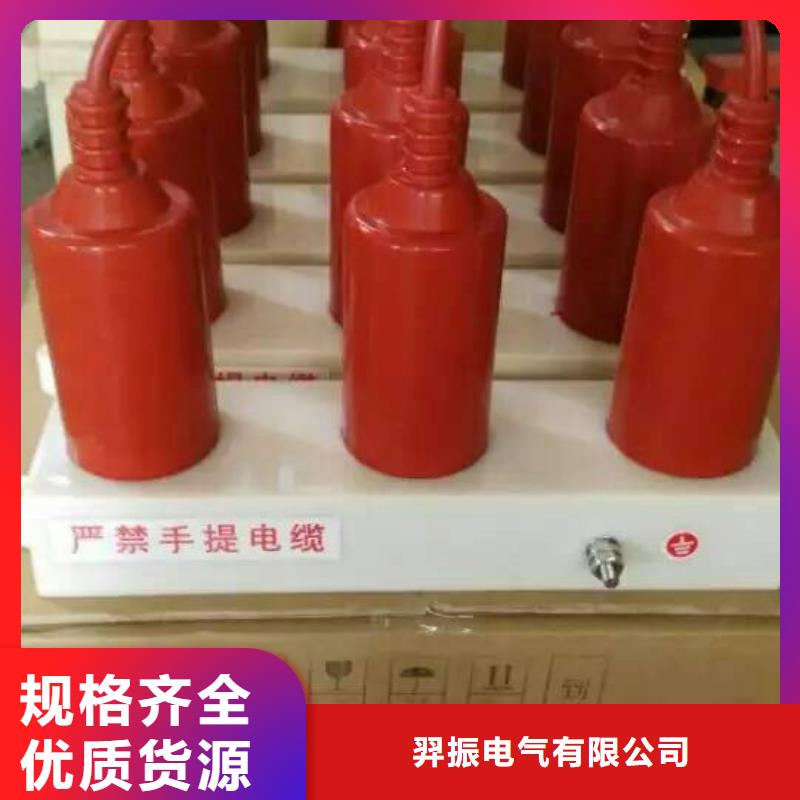 【组合式避雷器】TBP-A-12.7/150