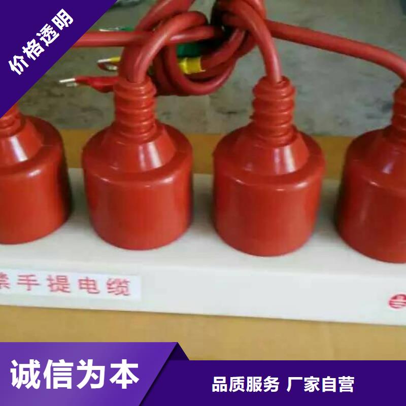 TBP-B-42/280【过电压保护器】