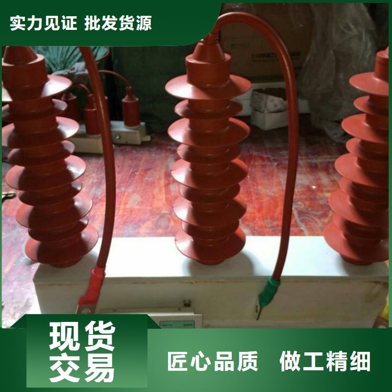 【过电压保护器】TBP-A-42/310