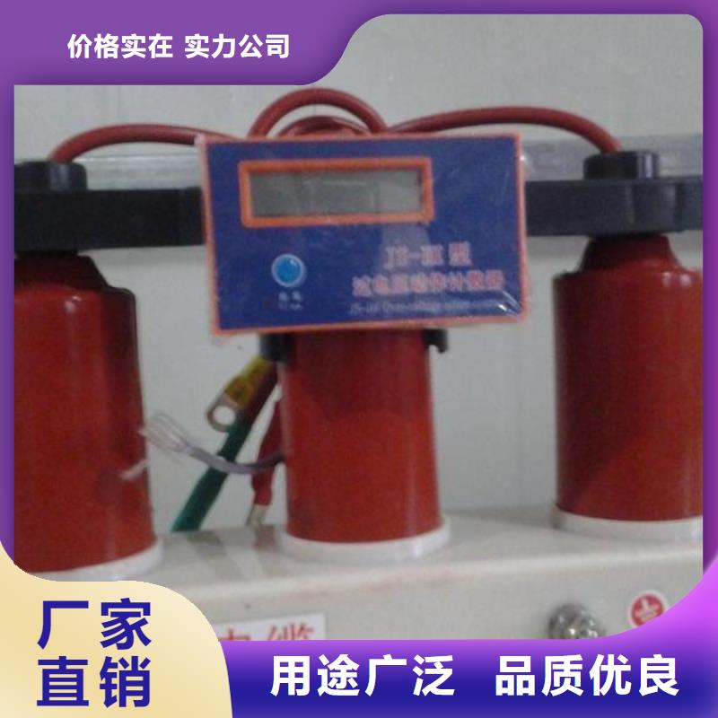 保护器(组合式避雷器)RSB-B/F-10.5