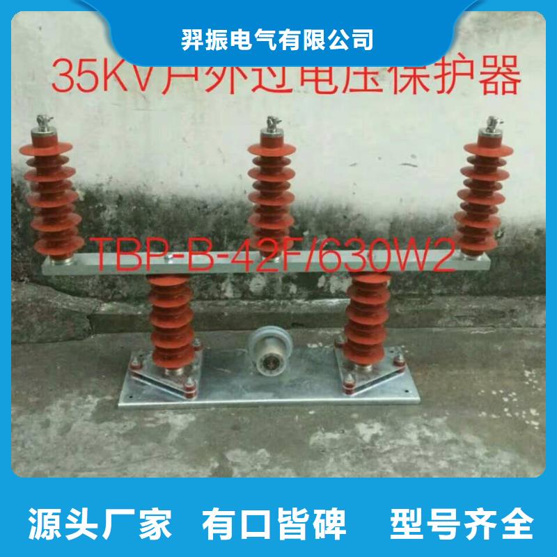 保护器(组合式避雷器)RTB-R-12.7KV/85-N