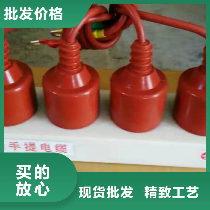＿过电压保护器(组合式避雷器)TBP-C-12.7F/85