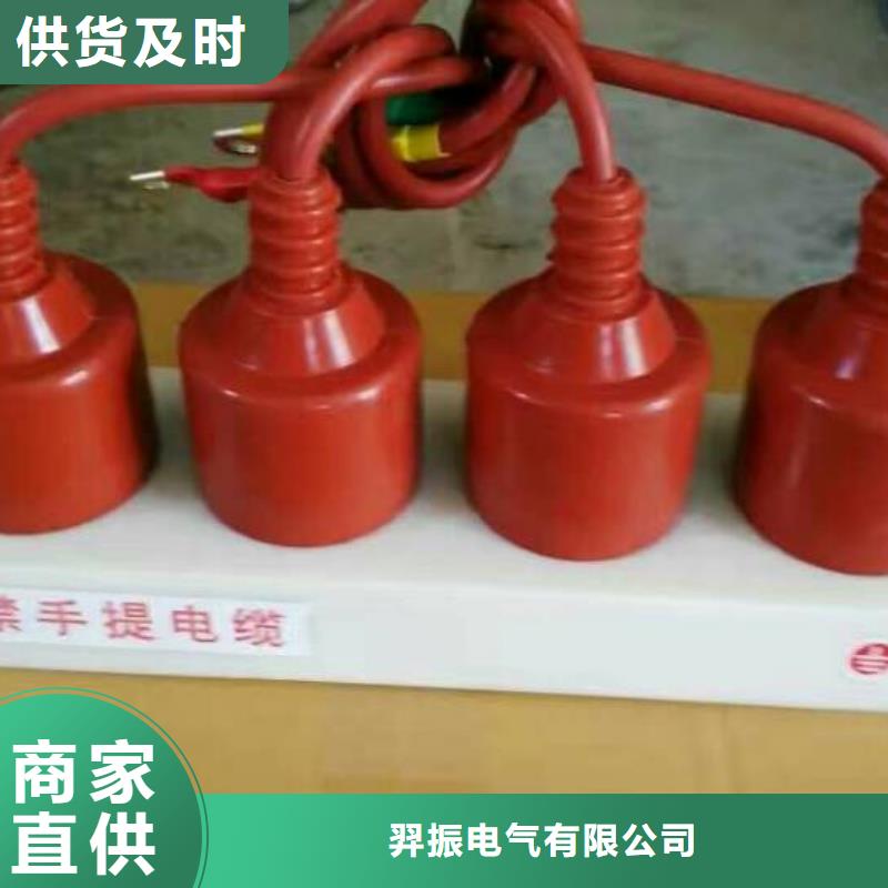 保护器(组合式避雷器)TBP-C-7.6F/85-J