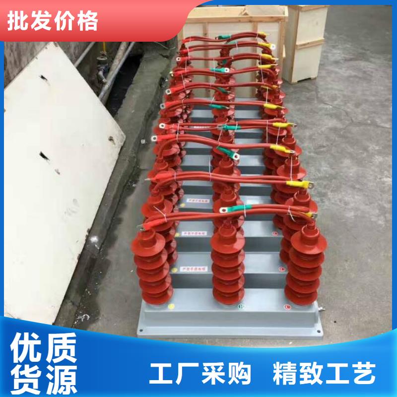 过电压保护器(组合式避雷器)TBP-B-42F/630W2