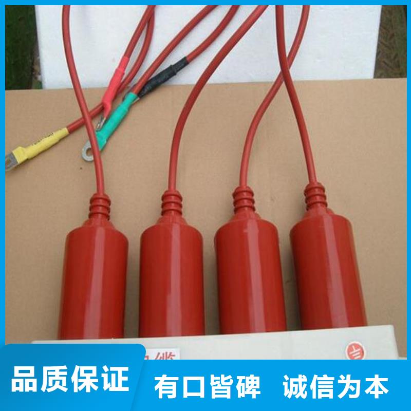 保护器(组合式避雷器)BSTG-A-6.3