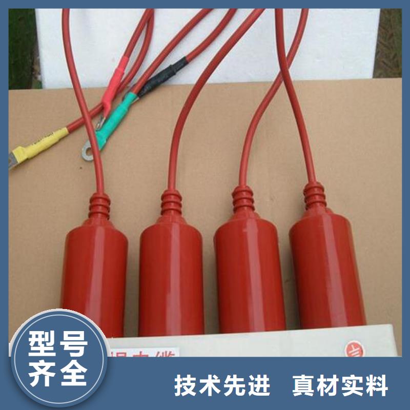 【组合式避雷器】TBP-B-7.6F/85