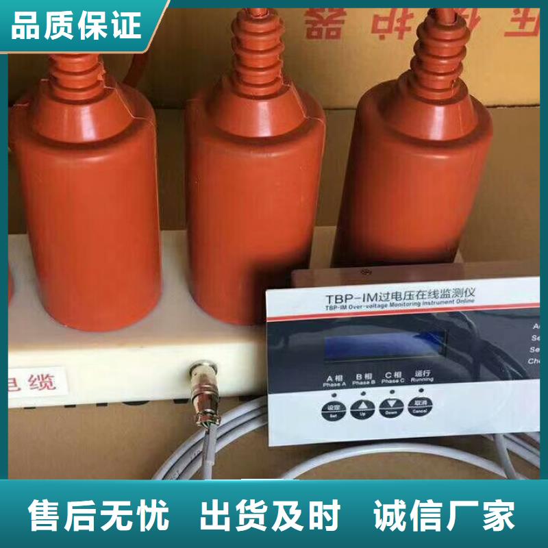 保护器(组合式避雷器)RSB-C/F-6.3