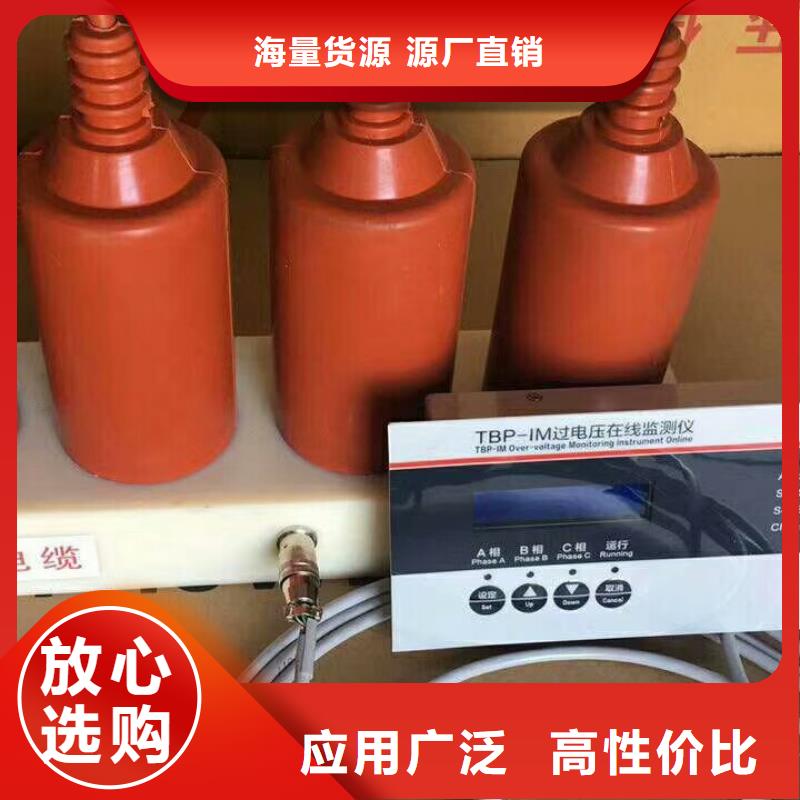 SYB-C-42KV/200-过电压保护器