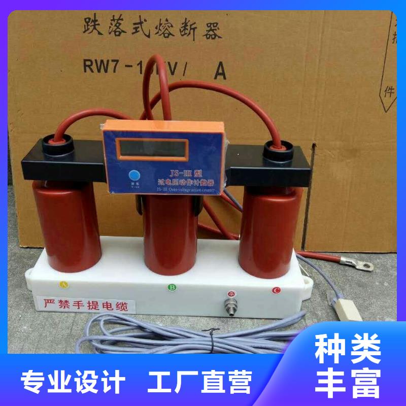 过电压保护器-YH5WZ-10/27*10/27