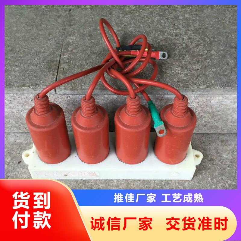 保护器(组合式避雷器)RSB-B/F-10.5