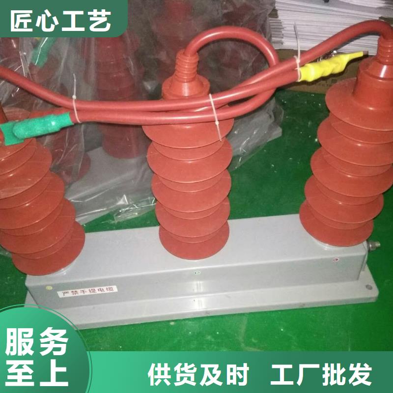 【羿振电力牌】过电压保护器TBP-A-6.3/131-J
