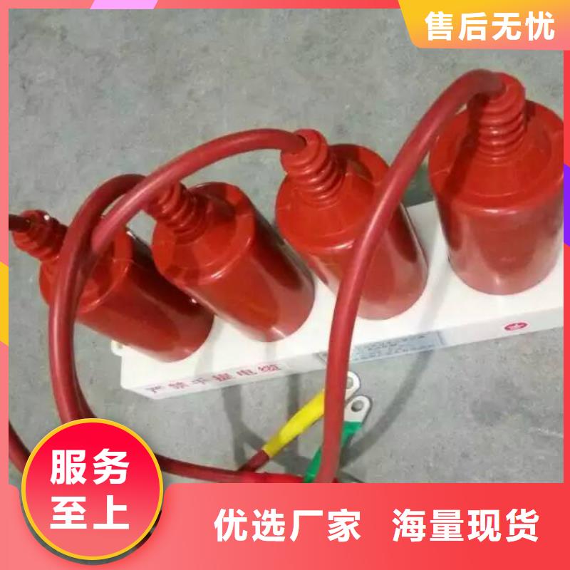 保护器(组合式避雷器)YHB5WR-17/46*17/46