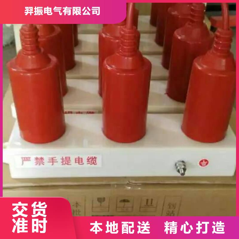 保护器(组合式避雷器)TBP-Y-B/6-T组合过电压保护器