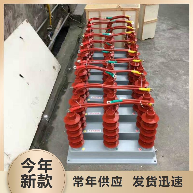 保护器(组合式避雷器)RSB-C/F-10.5/W