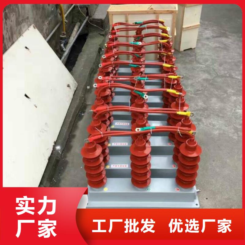 过电压保护器(组合式避雷器)TBP-B-42F/630W2