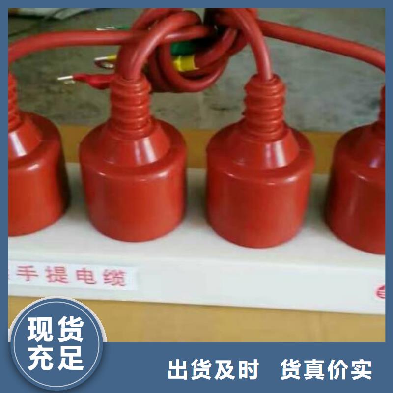 【过电压保护器】TBP-A-42/310