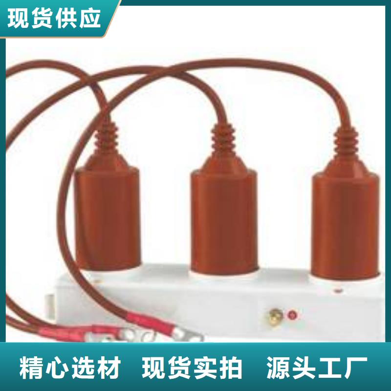 保护器(组合式避雷器)TBP-C-7.6F/85-J