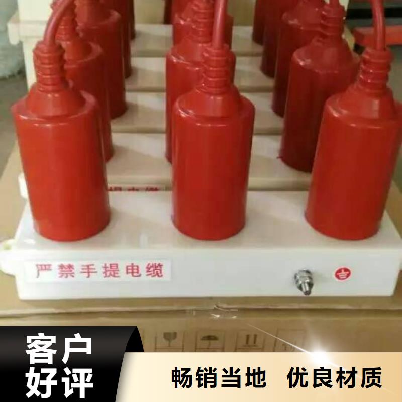 过电压保护器(组合式避雷器)TBP-B-12.7/85-J