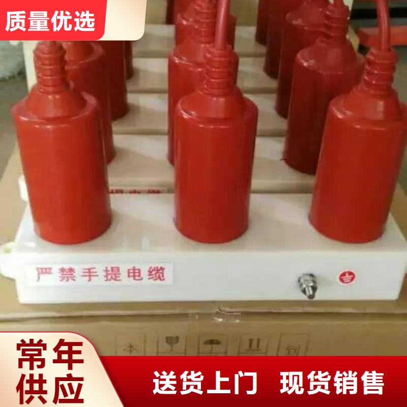 【组合式避雷器】TBP-C-42F/280-IM