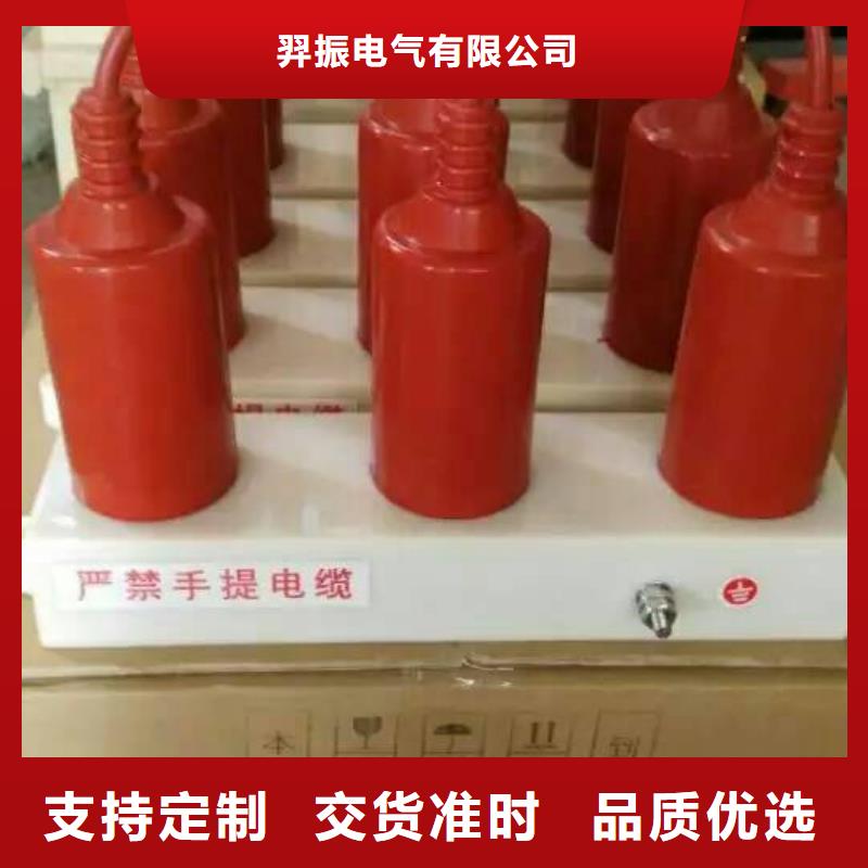 过电压保护器(组合式避雷器)TBP-C-7.6/150-J