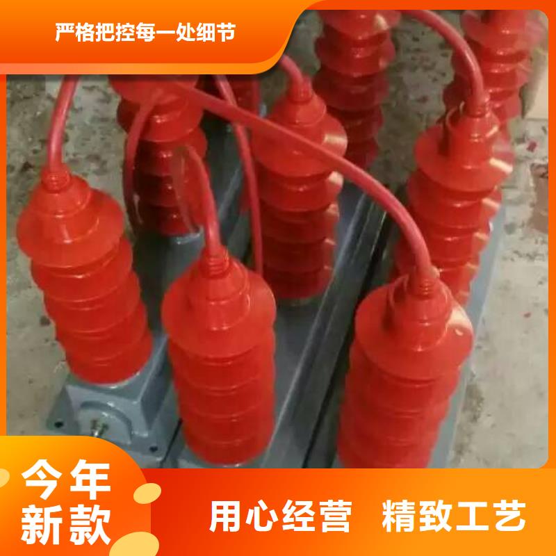 过电压保护器YH5WR-17/45*2