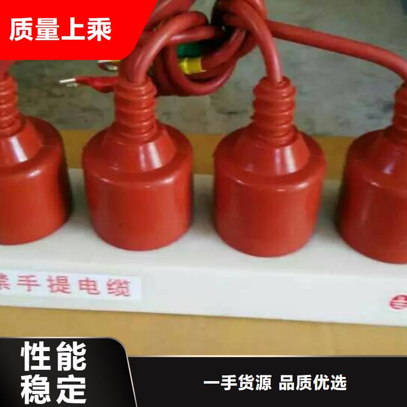 保护器(组合式避雷器)TBP-C-7.6F/85-J