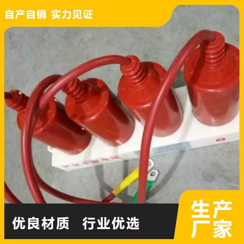 【组合式避雷器】TBP-A-12.7/150