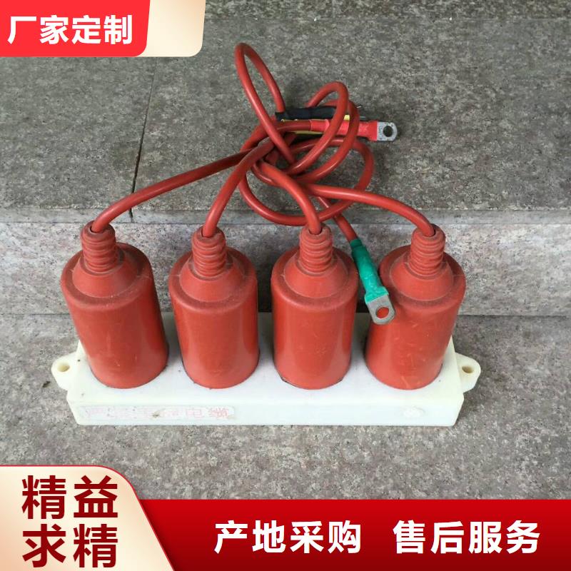 【过电压保护器】TBP-A-42/310