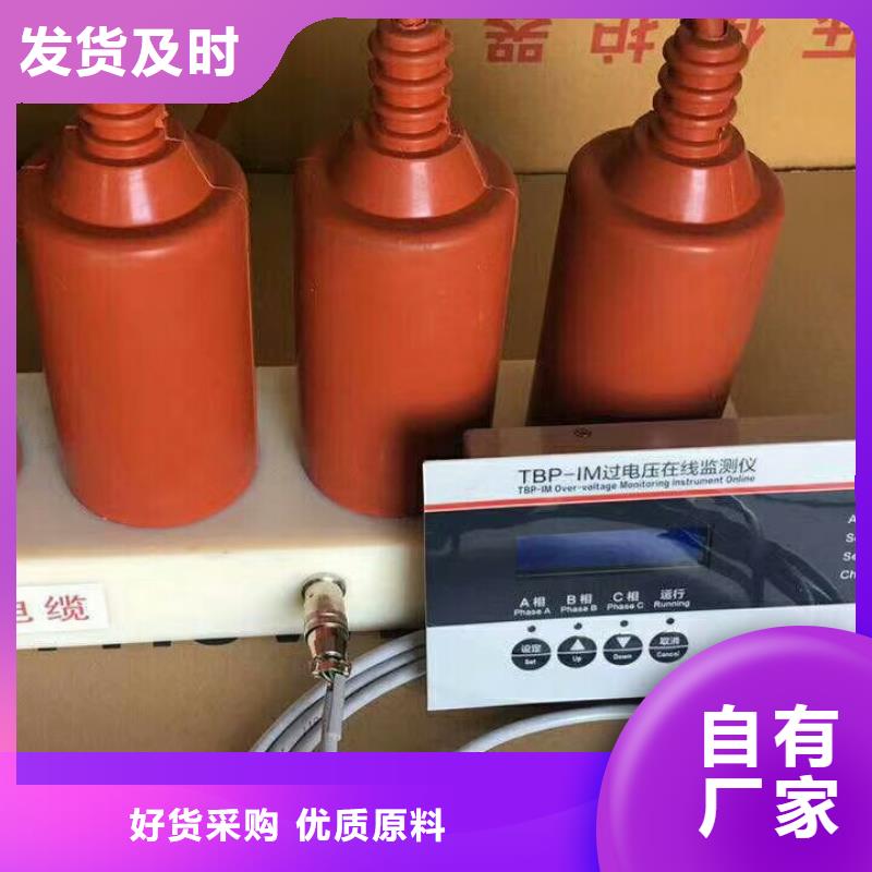 保护器(组合式避雷器)YHB5CD-12.7/31*12.7/31