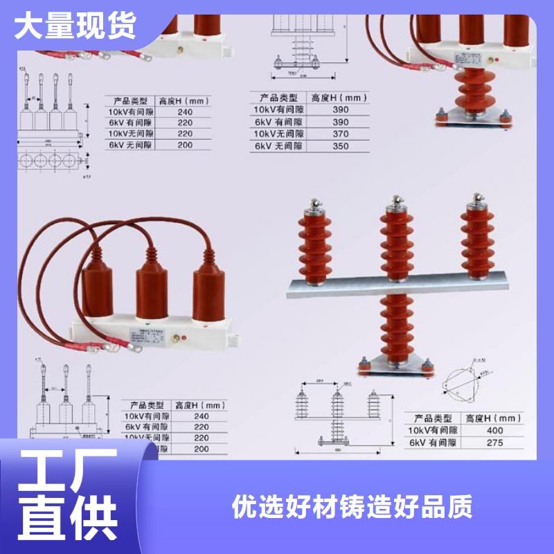 保护器(组合式避雷器)RTB-D-12.7KV/85-J