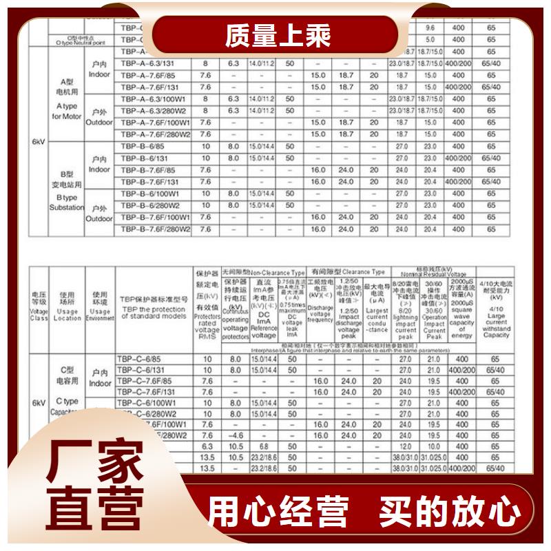 过电压保护器(组合式避雷器)TBP-A-35/630W2