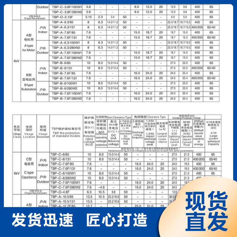 过电压保护器(组合式避雷器)TBP-C-35/F