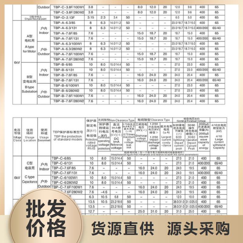 TBP-B-42/280【过电压保护器】